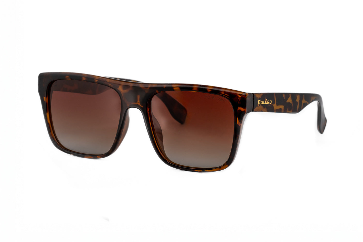 Tortoise / Brown