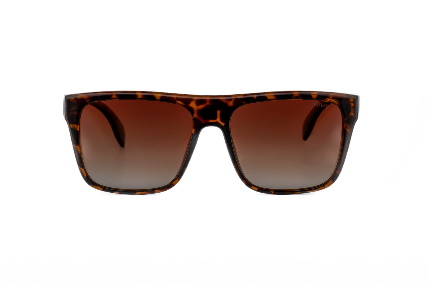 Tortoise / Brown