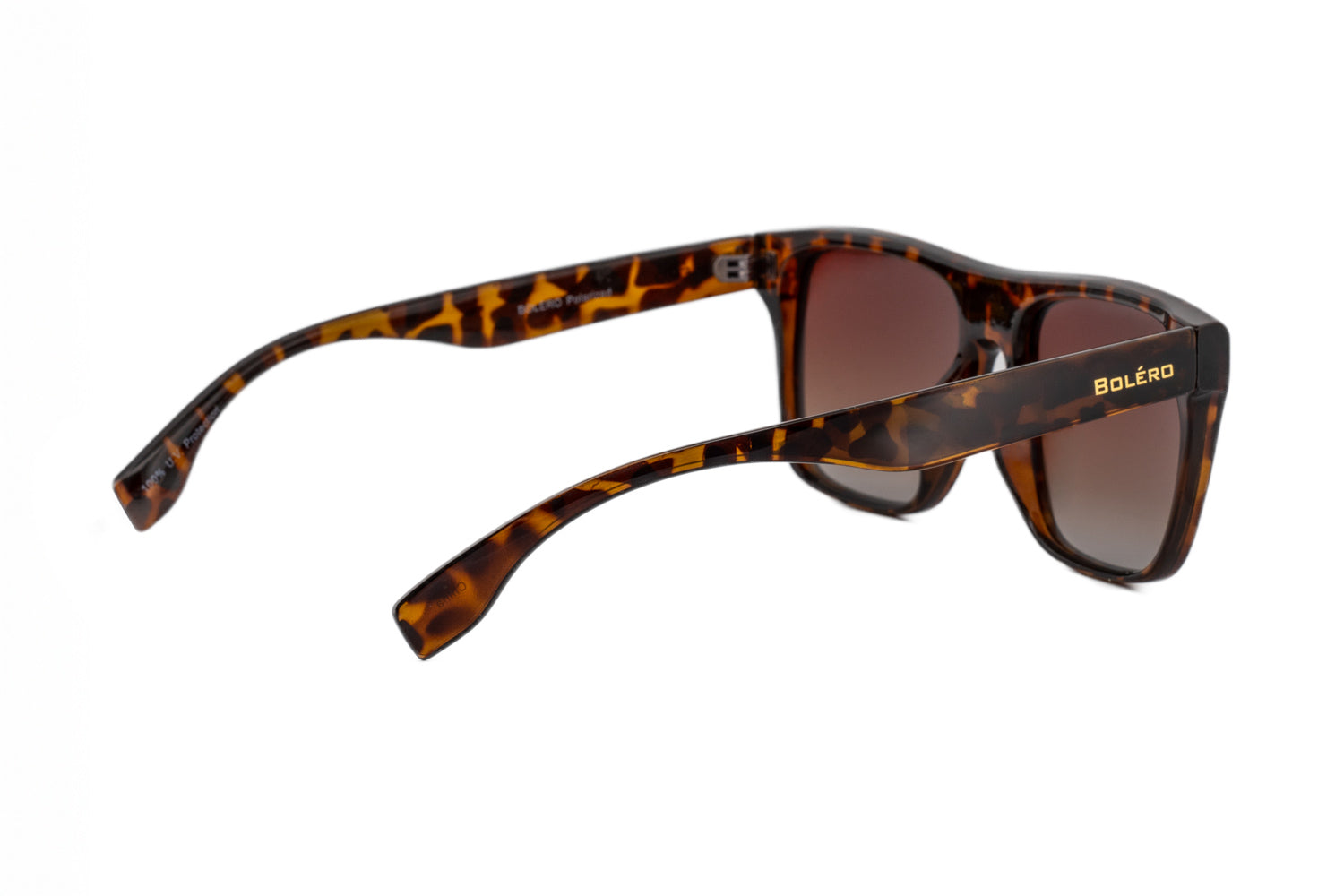 Tortoise / Brown