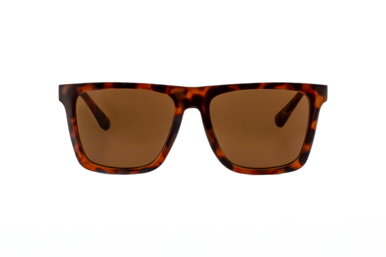 Calla by Bolero Eyewear tortoise sunglasses with brown non-polarized lenses in a classic square frame front angle view