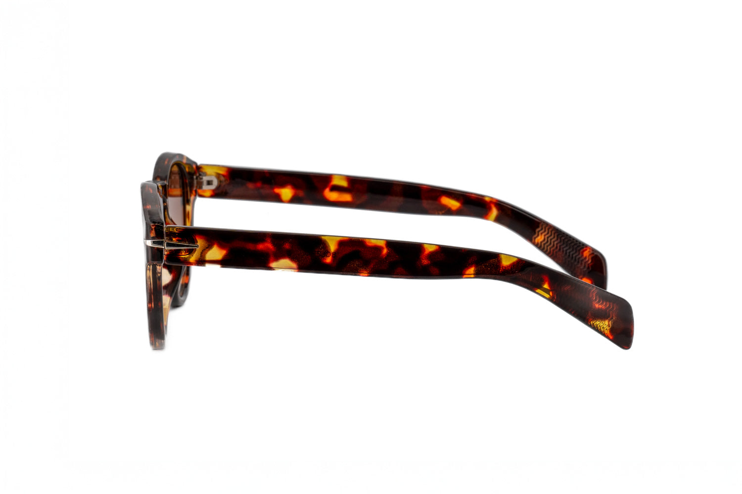 Tortoise / Brown