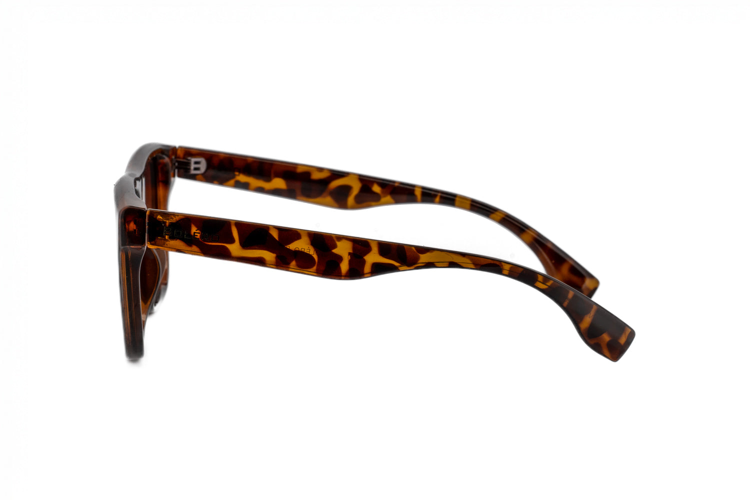 Tortoise / Brown