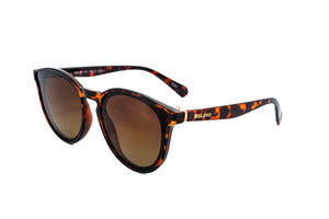 Tortoise / Brown
