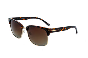 Tortoise / Brown