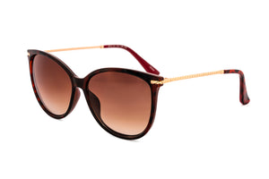 Tortoise / Brown