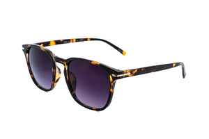 Tortoise / Smoke Purple