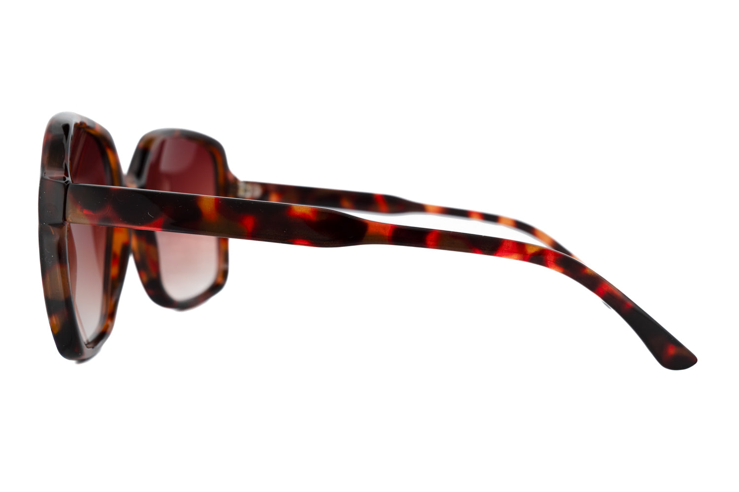 Tortoise / Black