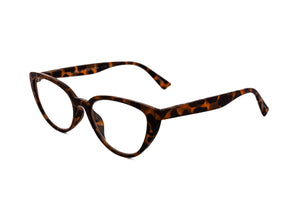 Tortoise Brown